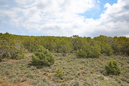 Land For Sale in Western Colorado - image 6