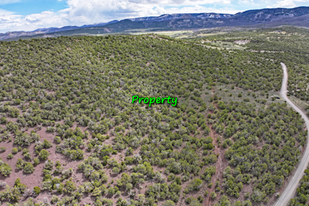 Land For Sale in Western Colorado - image 8