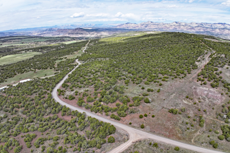 Land For Sale in Western Colorado - image 3