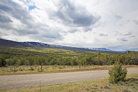 Land For Sale in Western Colorado - image 10