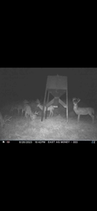578± Acres – Premier Hunting & Recreational Ranch in Barber Coun - image 18