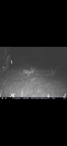 578± Acres – Premier Hunting & Recreational Ranch in Barber Coun - image 7