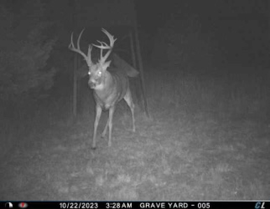 578± Acres – Premier Hunting & Recreational Ranch in Barber Coun - image 17