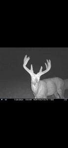 578± Acres – Premier Hunting & Recreational Ranch in Barber Coun - image 10