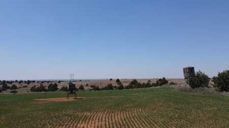 578± Acres – Premier Hunting & Recreational Ranch in Barber Coun - image 20