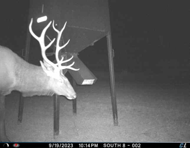 578± Acres – Premier Hunting & Recreational Ranch in Barber Coun - image 19