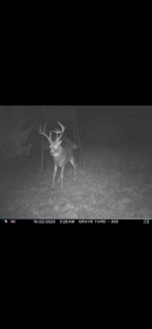 578± Acres – Premier Hunting & Recreational Ranch in Barber Coun - image 1