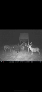 578± Acres – Premier Hunting & Recreational Ranch in Barber Coun - image 11