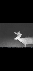 578± Acres – Premier Hunting & Recreational Ranch in Barber Coun - image 8