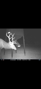 578± Acres – Premier Hunting & Recreational Ranch in Barber Coun - image 6
