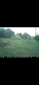 578± Acres – Premier Hunting & Recreational Ranch in Barber Coun - image 15