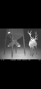 578± Acres – Premier Hunting & Recreational Ranch in Barber Coun - image 5