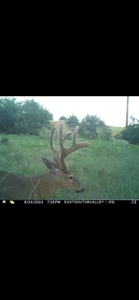 578± Acres – Premier Hunting & Recreational Ranch in Barber Coun - image 14