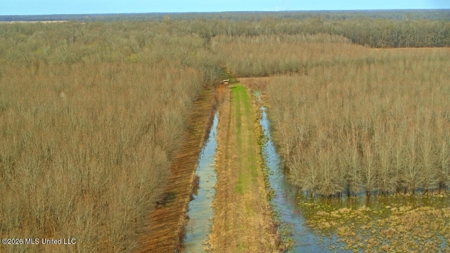 Legacy Waterfowl Hunting in the Mississippi Delta - image 31