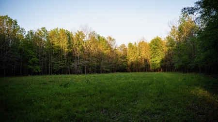 Legacy Waterfowl Hunting in the Mississippi Delta - image 29