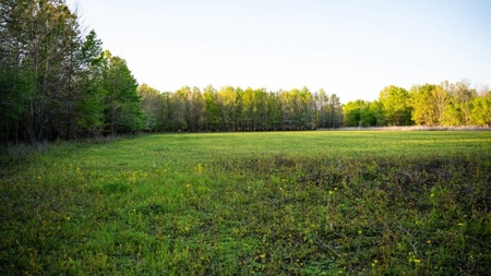 Legacy Waterfowl Hunting in the Mississippi Delta - image 11