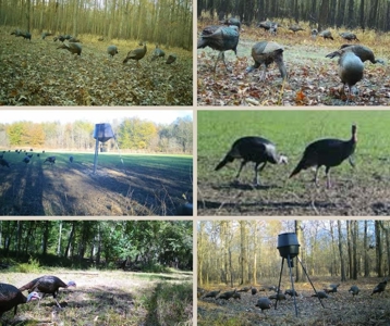 Legacy Waterfowl Hunting in the Mississippi Delta - image 13