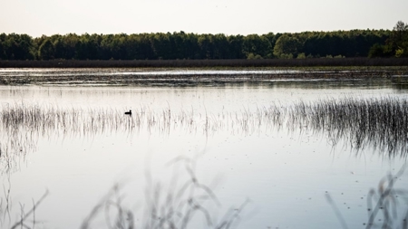 Legacy Waterfowl Hunting in the Mississippi Delta - image 17