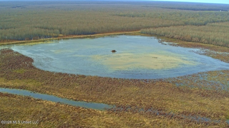 Legacy Waterfowl Hunting in the Mississippi Delta - image 26