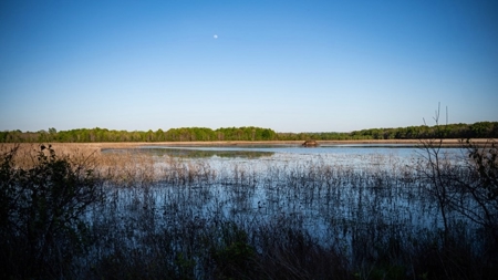 Legacy Waterfowl Hunting in the Mississippi Delta - image 19