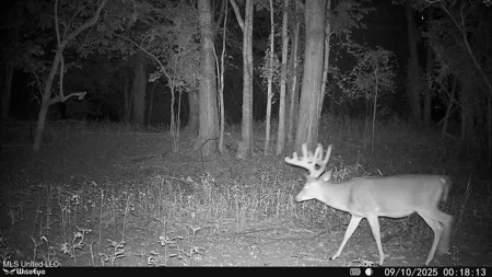 Legacy Waterfowl Hunting in the Mississippi Delta - image 23