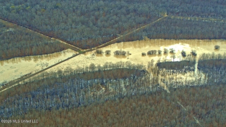 Legacy Waterfowl Hunting in the Mississippi Delta - image 39