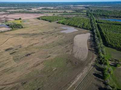Legacy Waterfowl Hunting in the Mississippi Delta - image 4