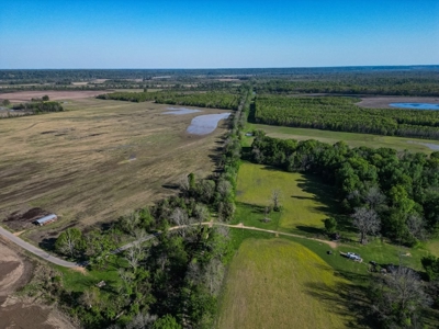 Legacy Waterfowl Hunting in the Mississippi Delta - image 2