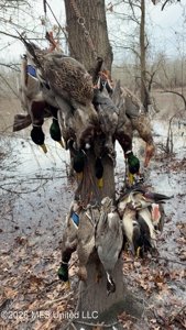 Legacy Waterfowl Hunting in the Mississippi Delta - image 47