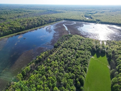 Legacy Waterfowl Hunting in the Mississippi Delta - image 2