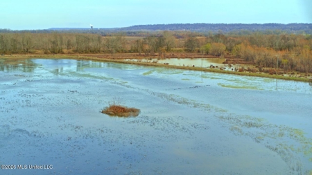 Legacy Waterfowl Hunting in the Mississippi Delta - image 30