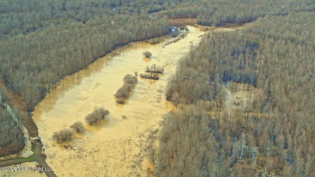 Legacy Waterfowl Hunting in the Mississippi Delta - image 36