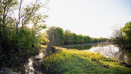 Legacy Waterfowl Hunting in the Mississippi Delta - image 26