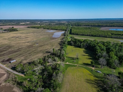 Legacy Waterfowl Hunting in the Mississippi Delta - image 3