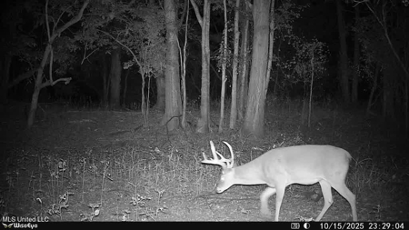 Legacy Waterfowl Hunting in the Mississippi Delta - image 20