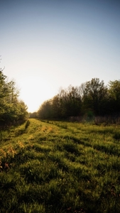 Legacy Waterfowl Hunting in the Mississippi Delta - image 28