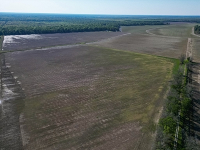 Legacy Waterfowl Hunting in the Mississippi Delta - image 3