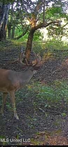 Legacy Waterfowl Hunting in the Mississippi Delta - image 22