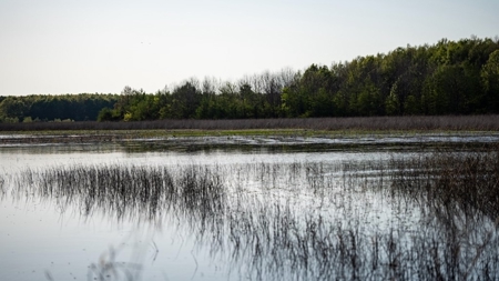 Legacy Waterfowl Hunting in the Mississippi Delta - image 16