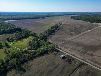Legacy Waterfowl Hunting in the Mississippi Delta - image 5