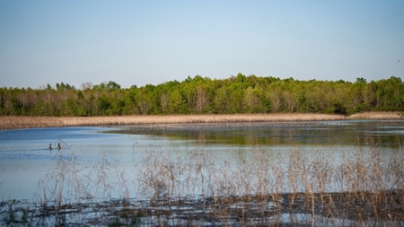 Legacy Waterfowl Hunting in the Mississippi Delta - image 18