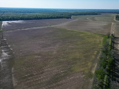 Legacy Waterfowl Hunting in the Mississippi Delta - image 4