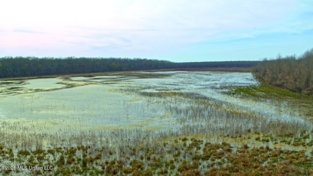 Legacy Waterfowl Hunting in the Mississippi Delta - image 28