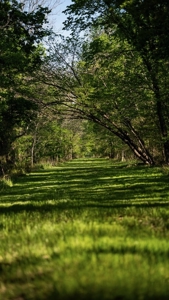 Legacy Waterfowl Hunting in the Mississippi Delta - image 12