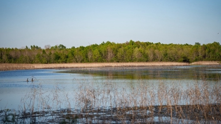 Legacy Waterfowl Hunting in the Mississippi Delta - image 8