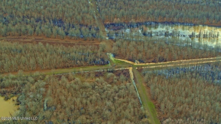 Legacy Waterfowl Hunting in the Mississippi Delta - image 40