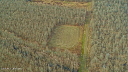Legacy Waterfowl Hunting in the Mississippi Delta - image 37