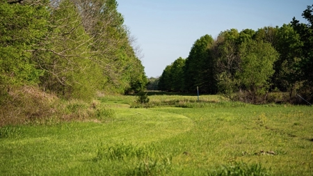 Legacy Waterfowl Hunting in the Mississippi Delta - image 9