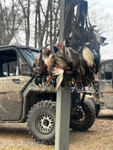 Legacy Waterfowl Hunting in the Mississippi Delta - image 44