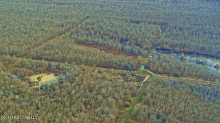 Legacy Waterfowl Hunting in the Mississippi Delta - image 38